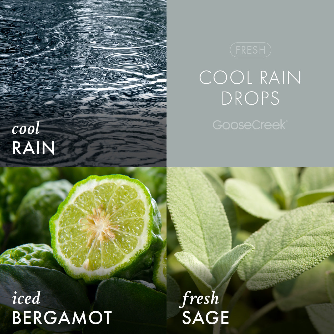 Cool Rain Drops Odor Eliminating Wax Melt - Image 2
