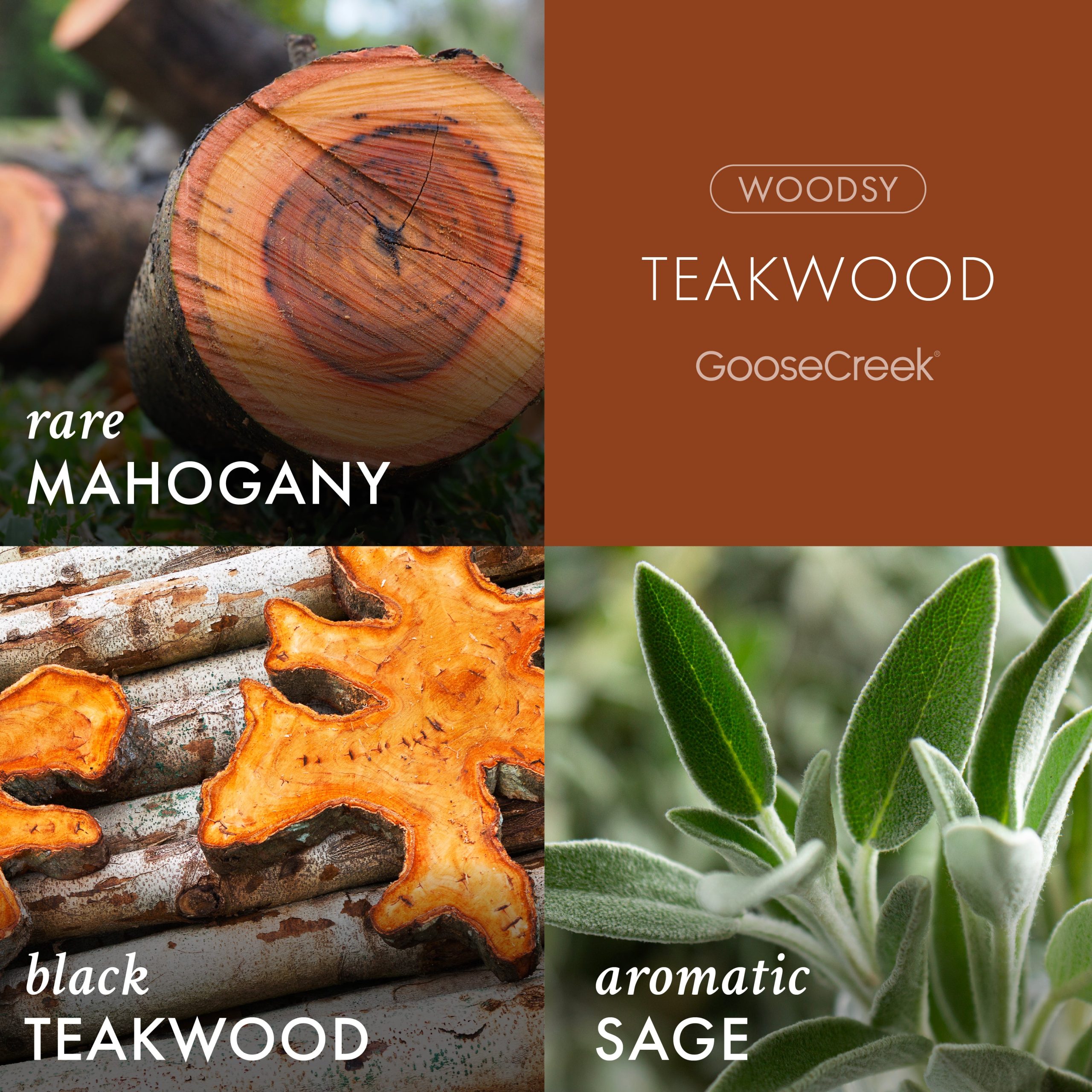 Teakwood Odor Eliminating Plug-in Refill - Image 2